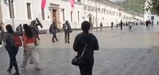 molotov