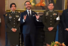 Abelardo