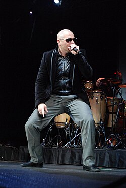 pitbull