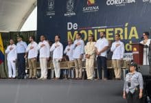 Ruta