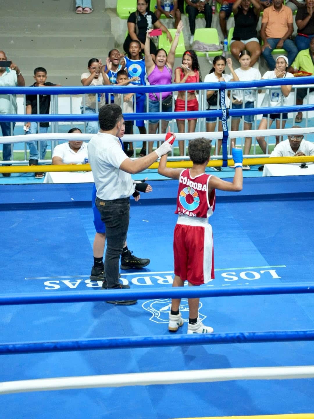 Boxeo
