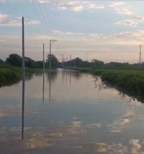cienaga
