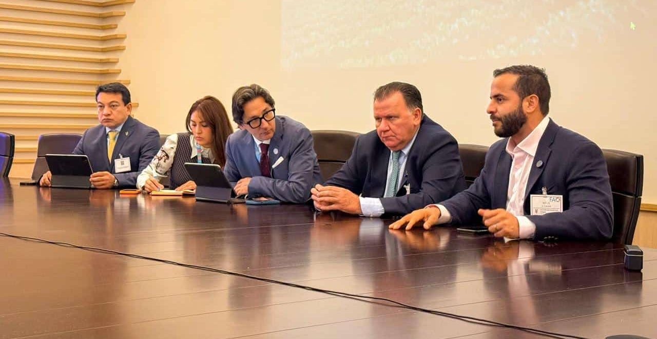Gobernador