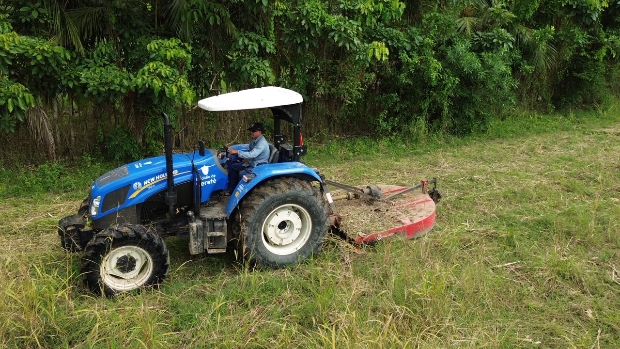 campo