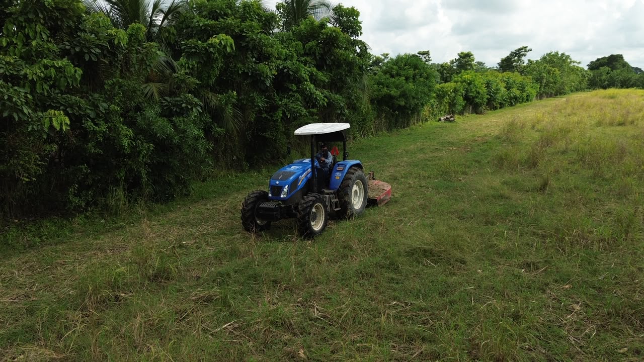 campo