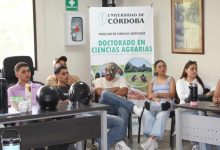 alianza