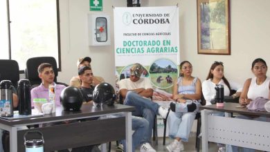 alianza