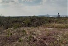 Habitantes