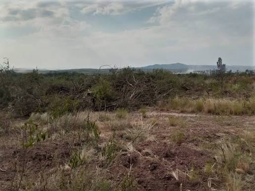 Habitantes